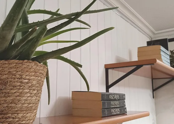 Fogar Florida - Petfriendly - Terraza - Free Parking - 1br * Vigo